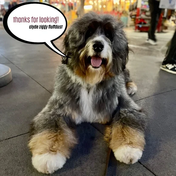 NWOT - Stussy Always Fresh T-Shirt - Picture 8 of 8